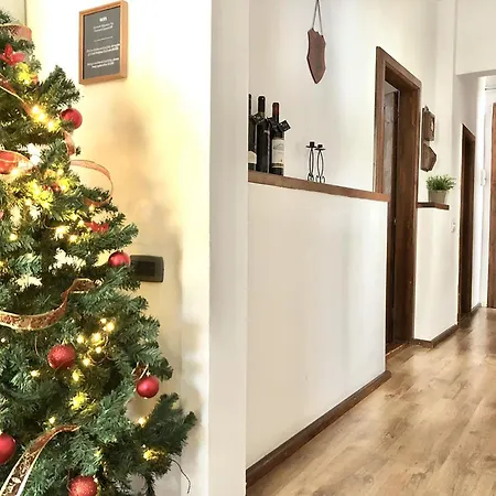 Graf Von Falkenstein *